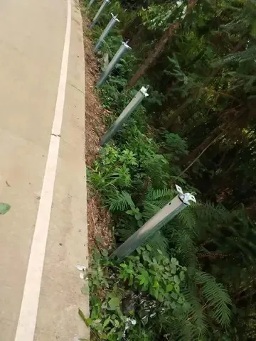 高速am级护栏是几级