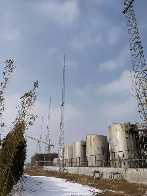 专业避雷塔厂家