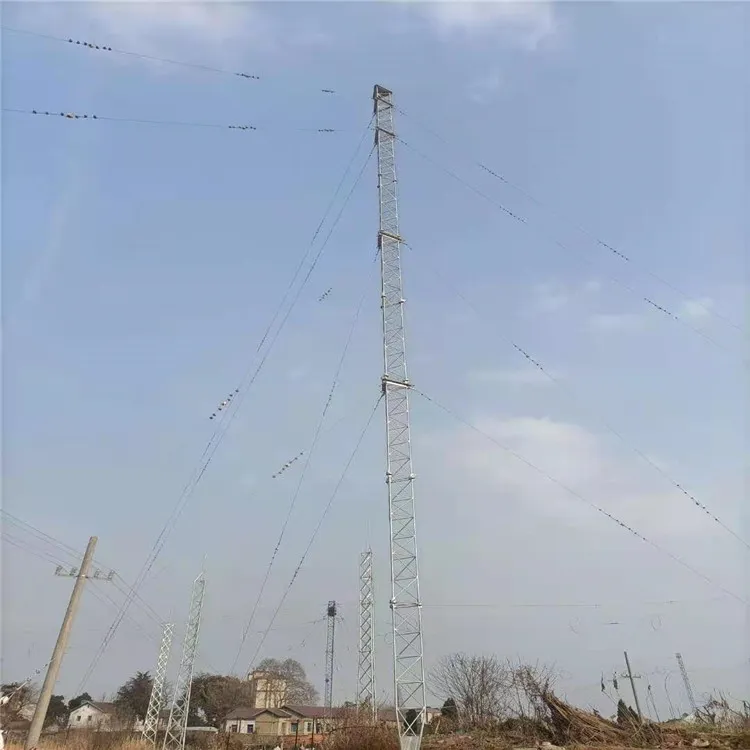 杠塔单元和避雷器