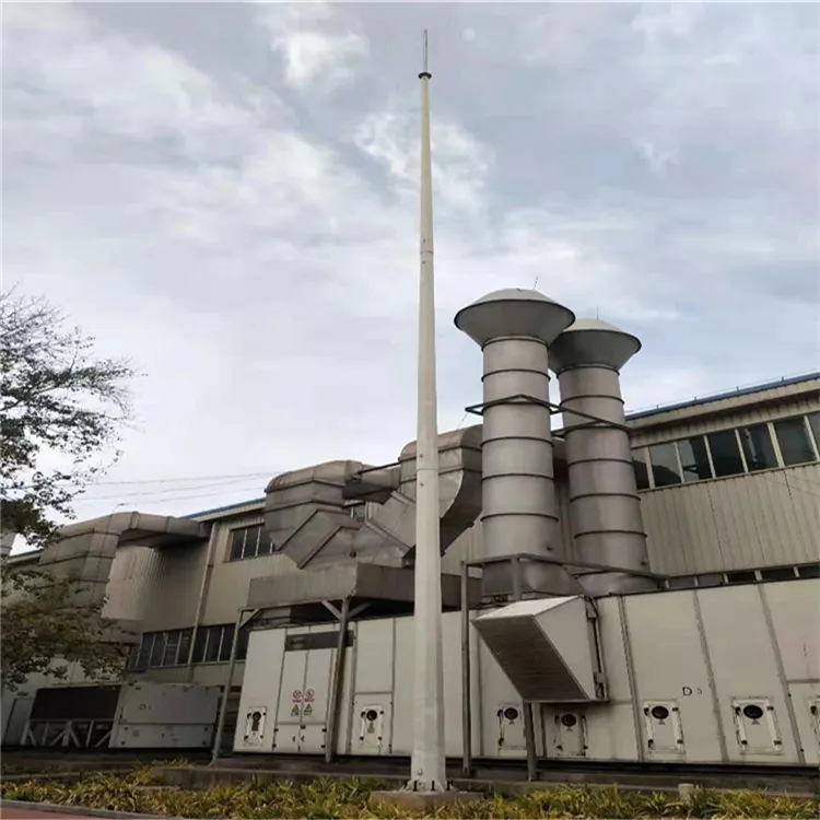 14米圆钢避雷塔设备安装