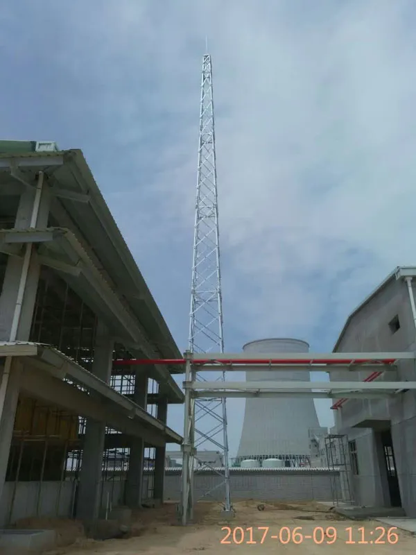 专业工艺避雷塔定制