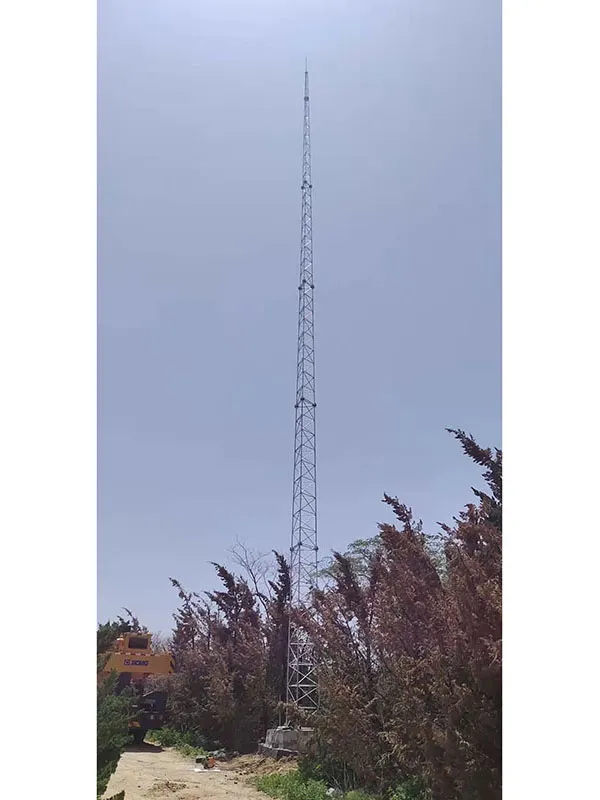 高压电线塔避雷区域