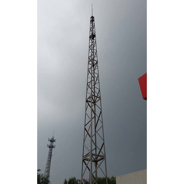 泰衡避雷塔厂家
