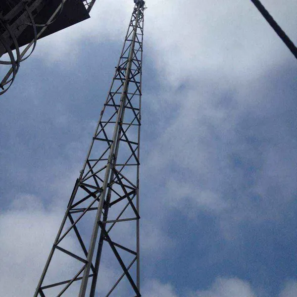 变电站避雷塔图片