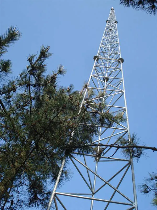 高压线塔额外增加避雷针