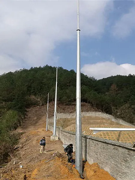 河北14米圆钢避雷塔专业