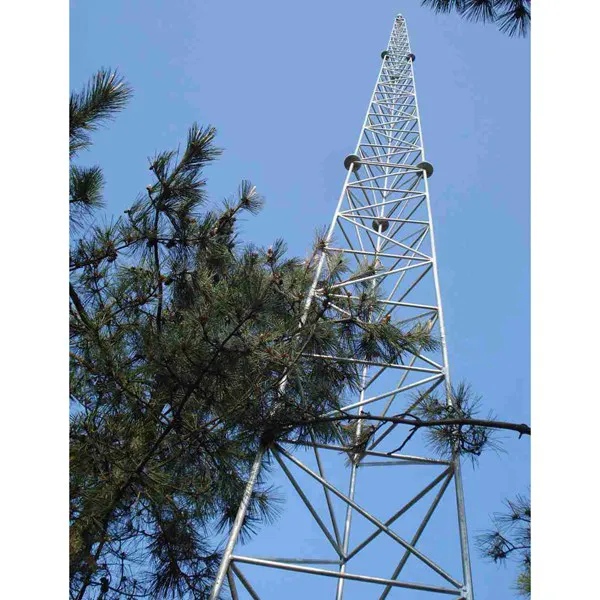 工艺避雷塔厂家定制