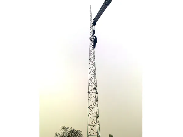 工艺避雷塔公司