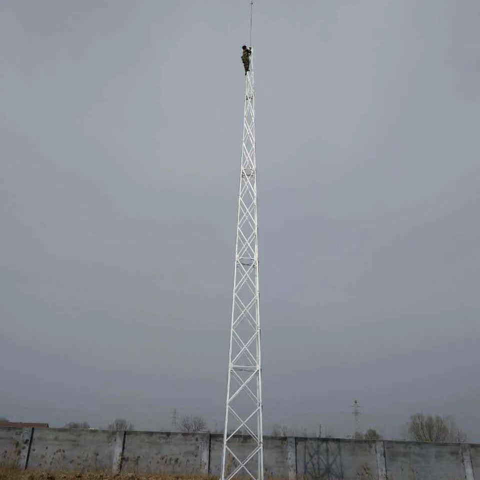 工艺避雷塔供应