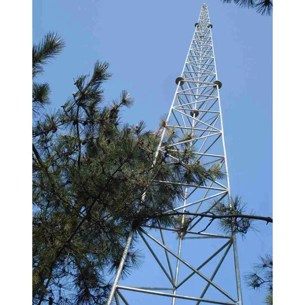 国标避雷塔厂家