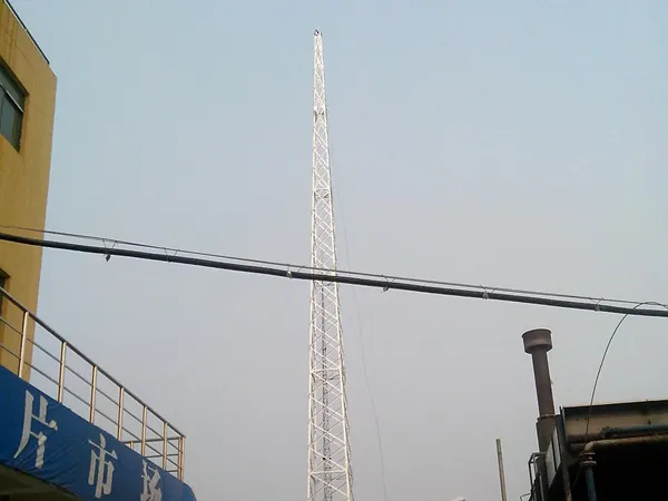 国标避雷针塔图片