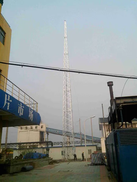 台湾推荐选择工艺避雷塔定制