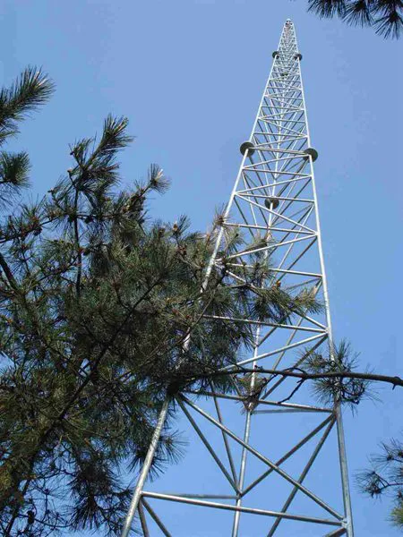 钛合金科技装饰避雷塔供应