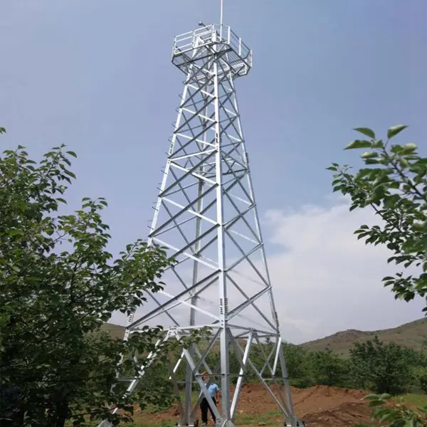 国标监控铁塔批发价格_优质供应商推荐