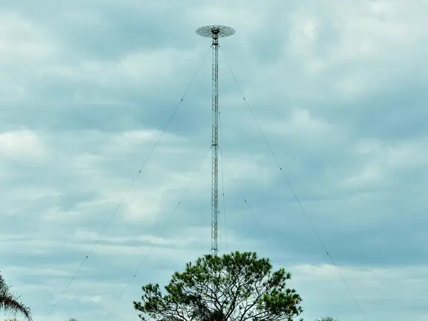 监控塔厂家_河北衡水20年源头工厂直供