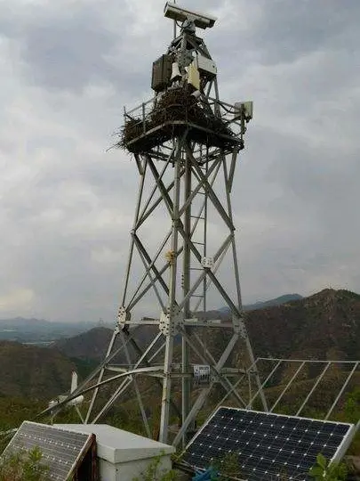 监控铁塔B2B采购导向文章标题：