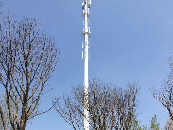 25米移动景观信号塔重量