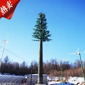 1点2舅舅信号少塔