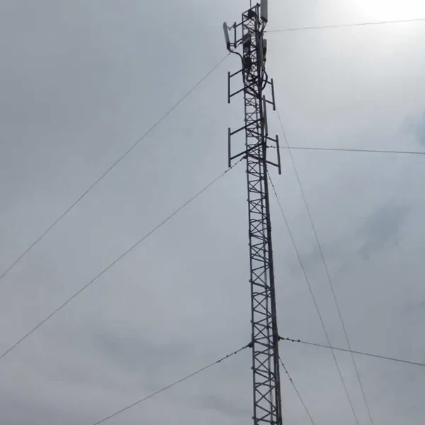 15米移动信号塔价格