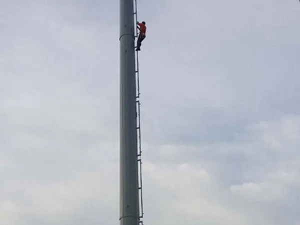 13米仿生树通信塔