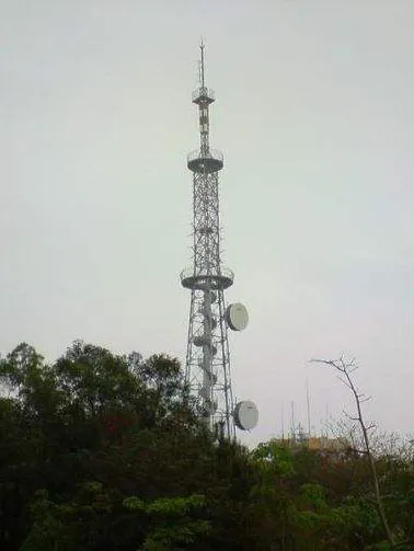 10g信号塔效果图