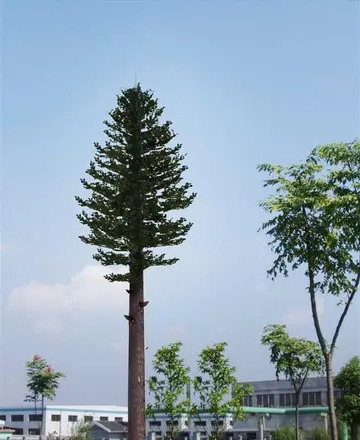 5g通信塔底座