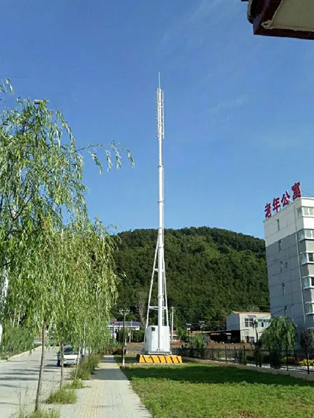 天津仿生通讯塔公司