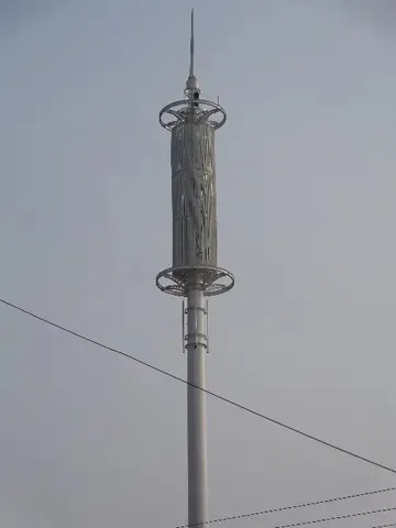 天津仿生通信塔