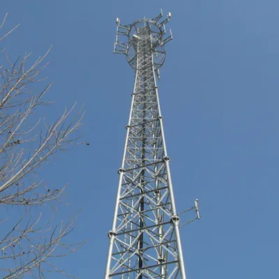 天津仿生树通讯塔价格