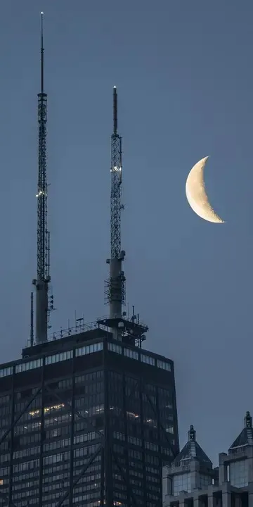 天津仿生树通信塔价格