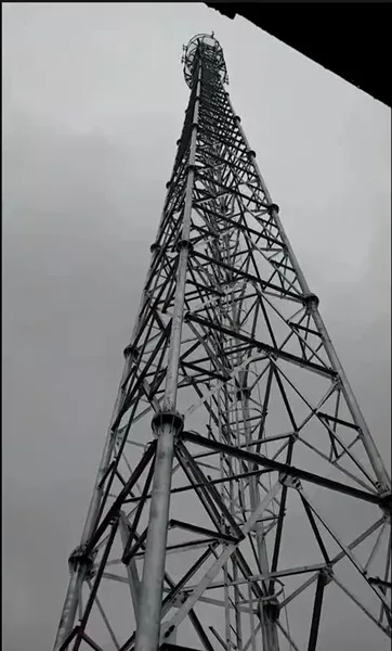 天津仿生树通信塔