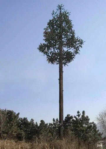 55米高角钢信号塔重