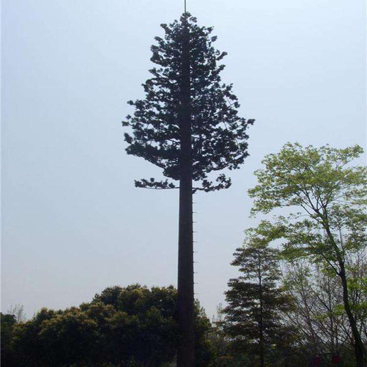 35米通讯脚钢塔材料