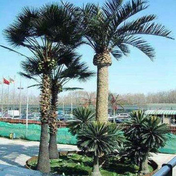 公园仿生树避雷塔